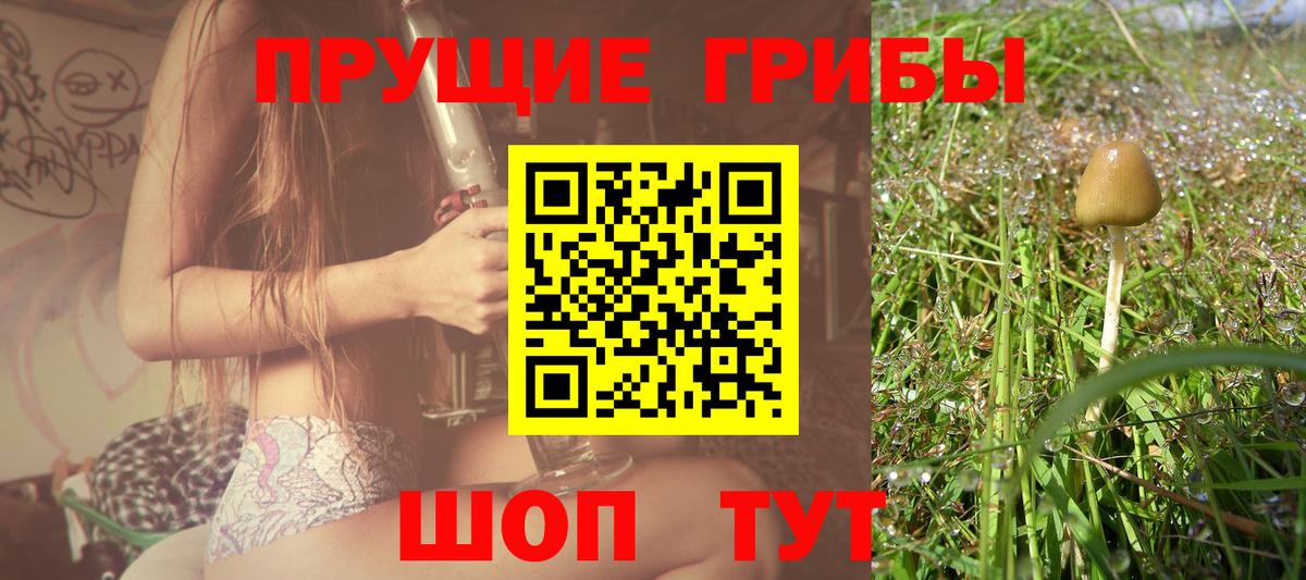 Псилоцибиновые грибы GOLDEN TEACHER  сколько стоит  Ставрополь  Вход с VPN 